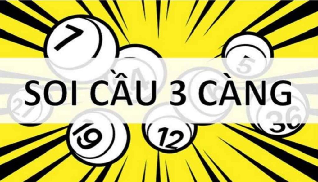 soi cau 3 cang mien nam 2i
